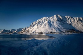 蘑菇视频app下载连上Wi‑Fi后，我才发现账号与登录原来能这么调