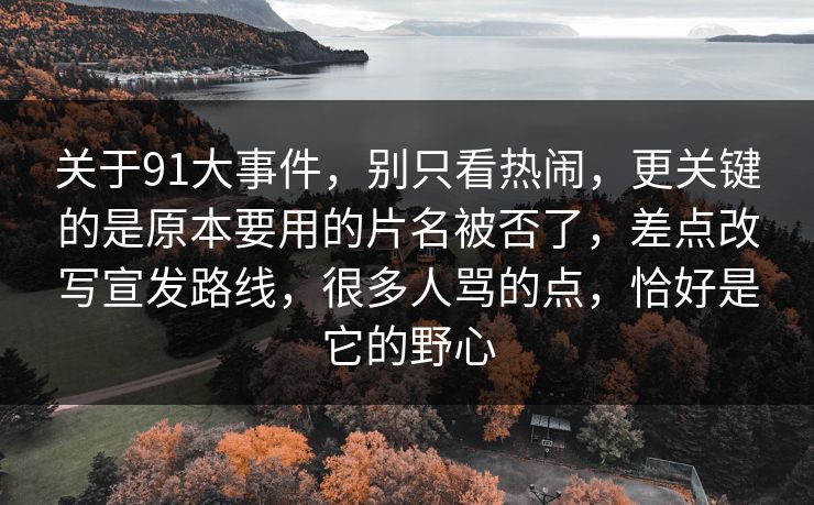 关于91大事件，别只看热闹，更关键的是原本要用的片名被否了，差点改写宣发路线，很多人骂的点，恰好是它的野心