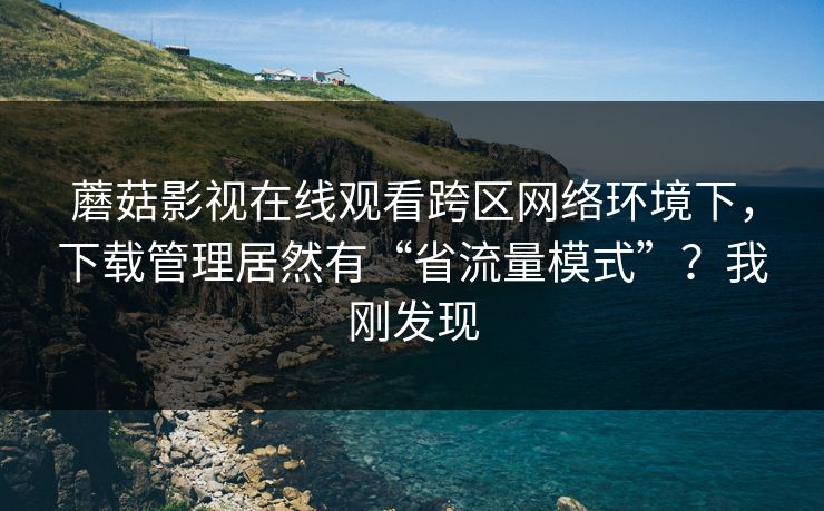 蘑菇影视在线观看跨区网络环境下，下载管理居然有“省流量模式”？我刚发现
