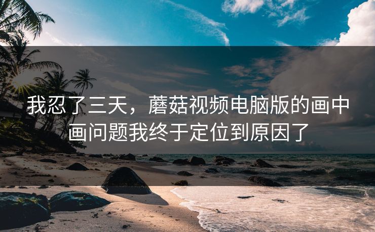 我忍了三天，蘑菇视频电脑版的画中画问题我终于定位到原因了