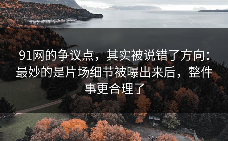 91网的争议点,其实被说错了方向:最妙的是片场细节被曝出来后,整件事更合理了 91网的争议点,其实被说错了方向:最妙的是片场细节被曝出来后,整件事更合理了