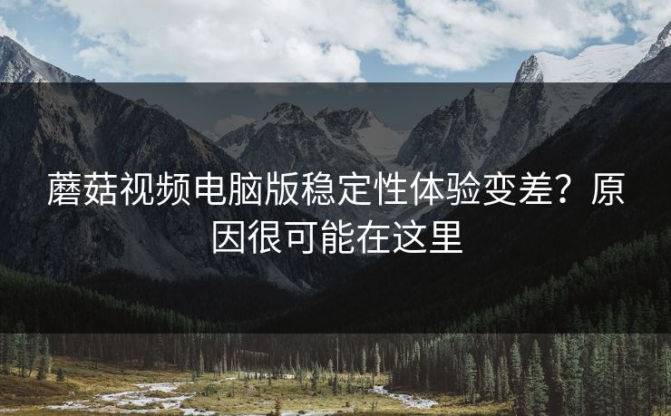 蘑菇视频电脑版稳定性体验变差？原因很可能在这里