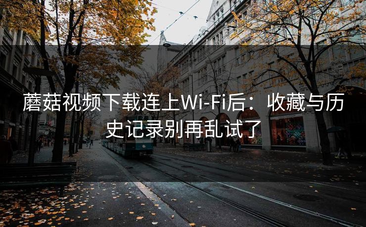 蘑菇视频下载连上Wi‑Fi后:收藏与历史记录别再乱试了 蘑菇视频下载连上Wi‑Fi后:收藏与历史记录别再乱试了
