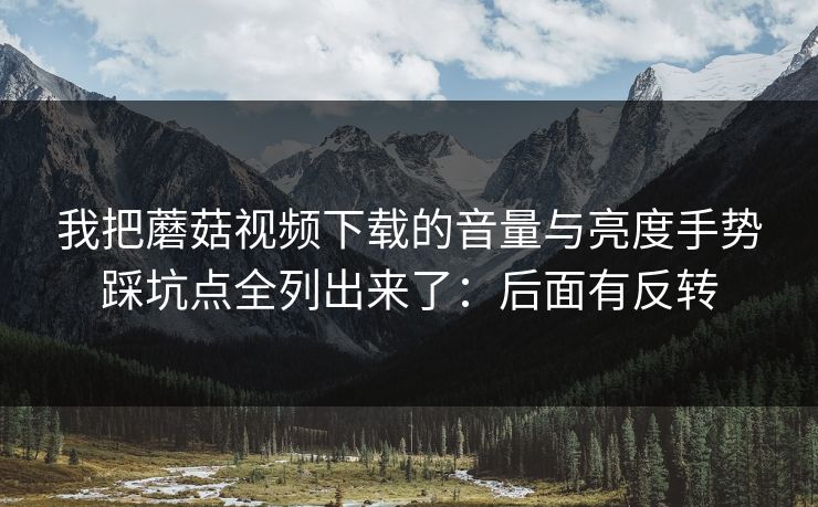 我把蘑菇视频下载的音量与亮度手势踩坑点全列出来了:后面有反转 我把蘑菇视频下载的音量与亮度手势踩坑点全列出来了:后面有反转
