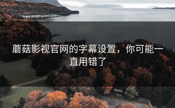 蘑菇影视官网的字幕设置，你可能一直用错了