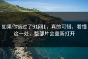 如果你错过了91网1，真的可惜，看懂这一处，整部片会重新打开
