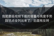 我把蘑菇视频下载的音量与亮度手势踩坑点全列出来了：后面有反转