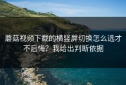 蘑菇视频下载的横竖屏切换怎么选才不后悔？我给出判断依据