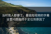 当时我人都傻了，蘑菇短视频的字幕设置问题我终于定位到原因了