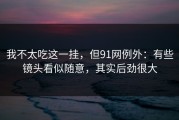 我不太吃这一挂，但91网例外：有些镜头看似随意，其实后劲很大