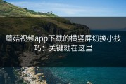 蘑菇视频app下载的横竖屏切换小技巧：关键就在这里