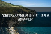 它把普通人的狼狈拍得太准：说的就是新91视频