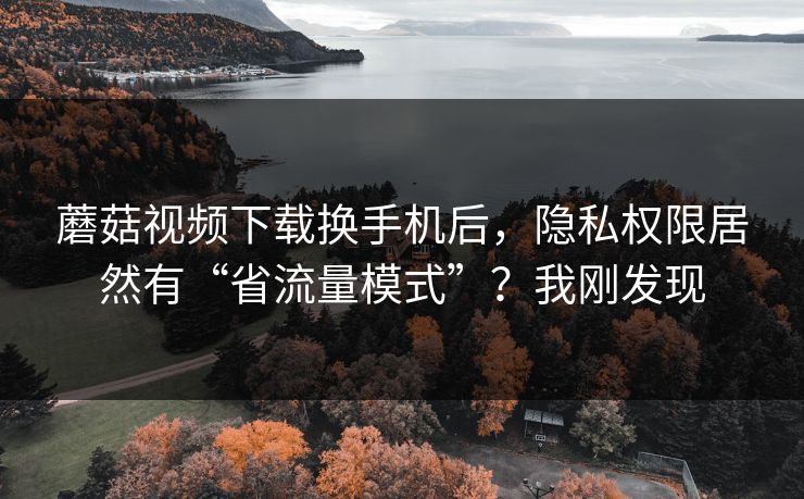 蘑菇视频下载换手机后，隐私权限居然有“省流量模式”？我刚发现