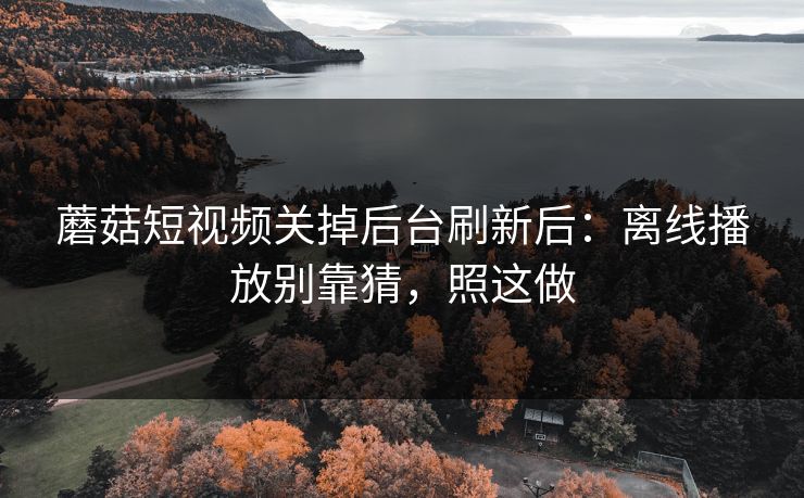 蘑菇短视频关掉后台刷新后：离线播放别靠猜，照这做