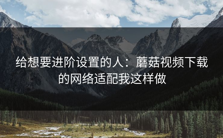给想要进阶设置的人:蘑菇视频下载的网络适配我这样做 给想要进阶设置的人:蘑菇视频下载的网络适配我这样做