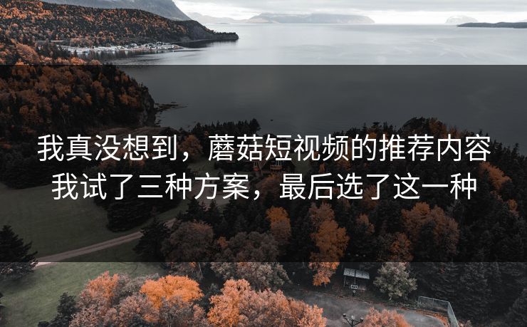 我真没想到，蘑菇短视频的推荐内容我试了三种方案，最后选了这一种