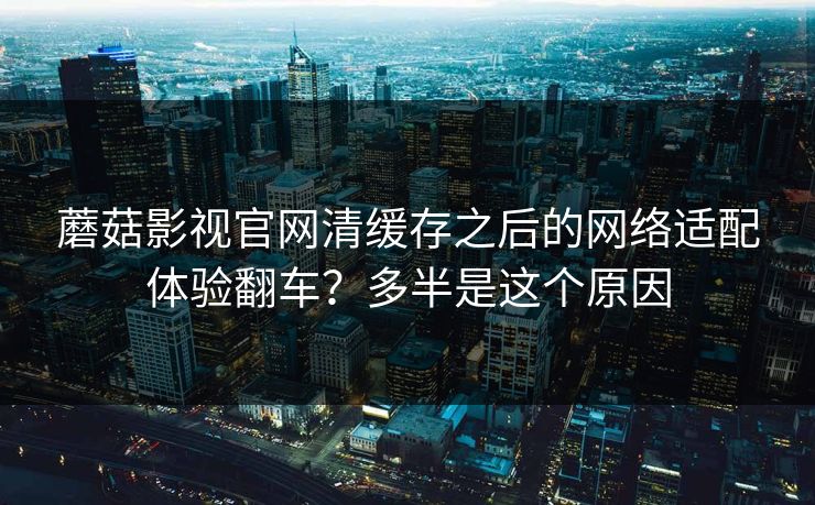 蘑菇影视官网清缓存之后的网络适配体验翻车？多半是这个原因