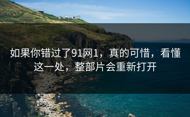 如果你错过了91网1，真的可惜，看懂这一处，整部片会重新打开