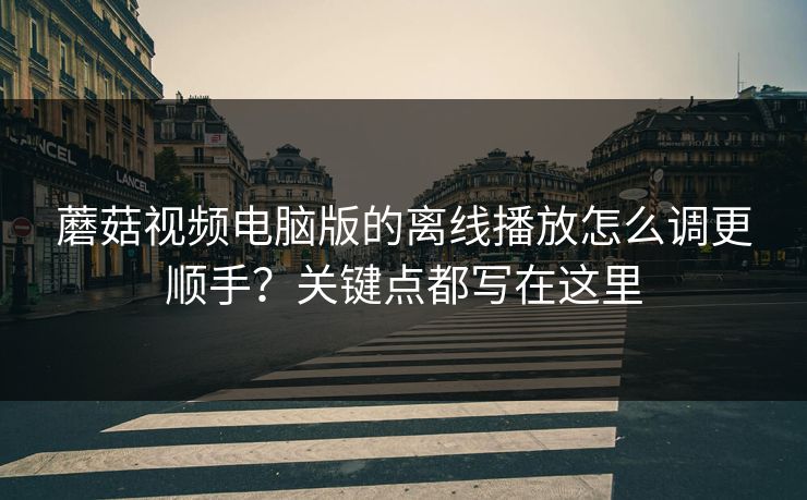 蘑菇视频电脑版的离线播放怎么调更顺手？关键点都写在这里