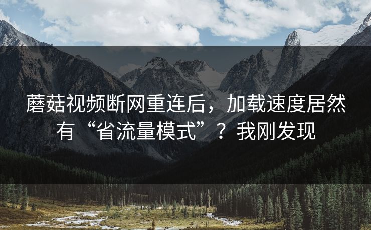 蘑菇视频断网重连后，加载速度居然有“省流量模式”？我刚发现